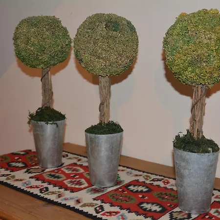 호텔 Hotel-restaurant Fischer