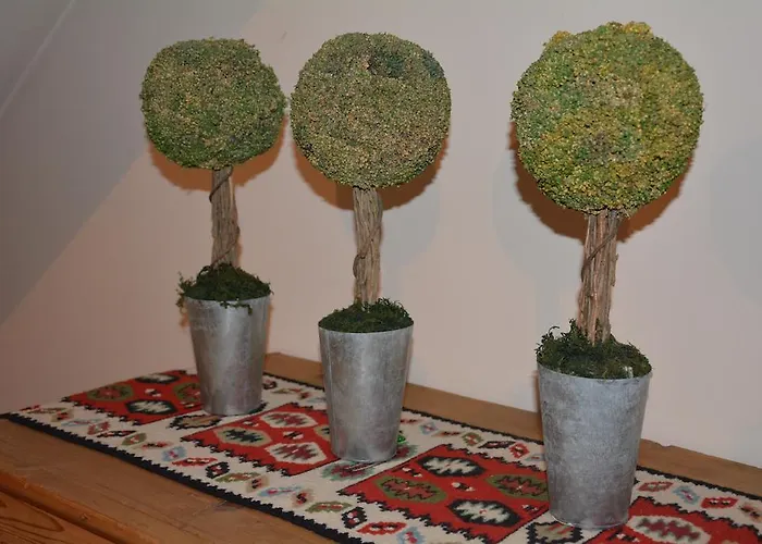 فندق Hotel-restaurant Fischer