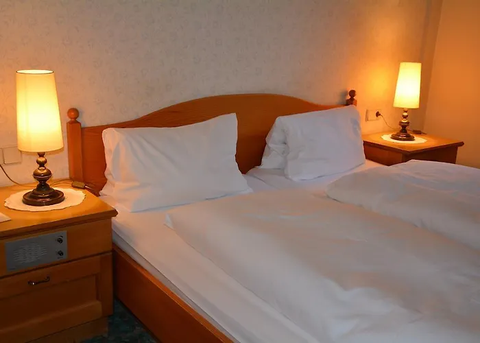 فندق Hotel-restaurant Fischer باد والترزدورف